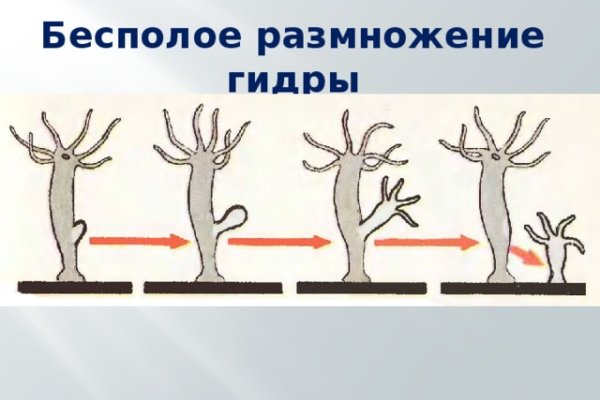 Почему не работает кракен сегодня