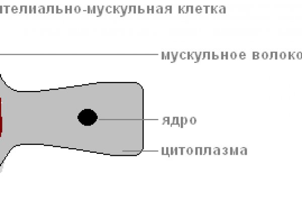 Кракен сайт сегодня